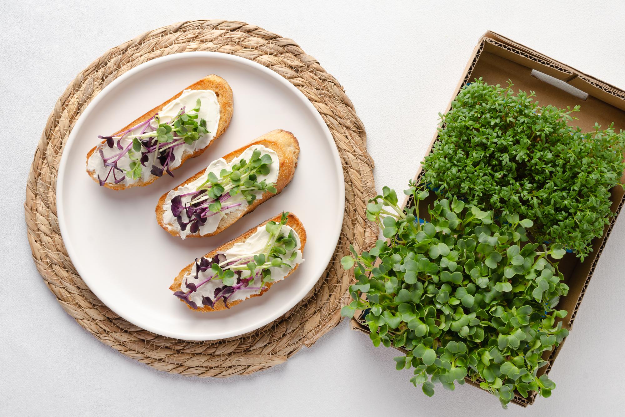 large plated course with foam and microgreens